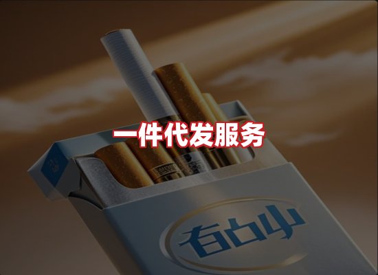 专业团队
